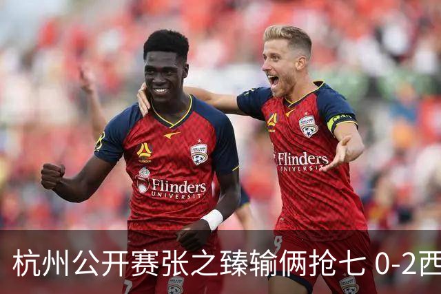 杭州公开赛张之臻输俩抢七 0-2西里奇收获亚军